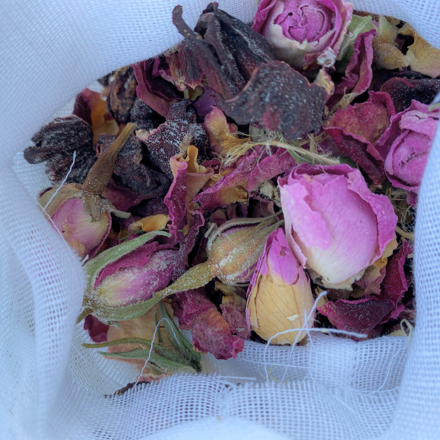 Bain de Vénus - Reconnection à soi et peau de velour